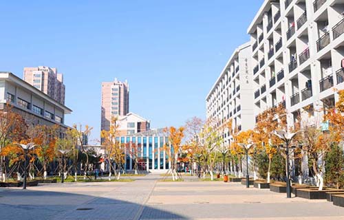 cbe8a009-989c-4060-a330-f2d78d7075dc.jpg