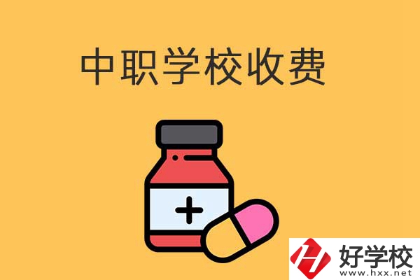 衡陽的中職學校怎么收費的？費用貴不貴？