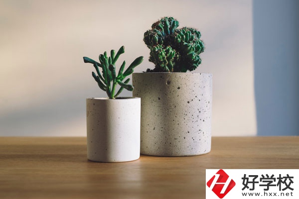 芷江民族職業(yè)中專招生專業(yè)有哪些？收費標(biāo)準(zhǔn)如何？