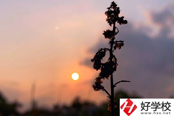 邵陽哈博職業(yè)中專學(xué)校好不好？有什么辦學(xué)特色？