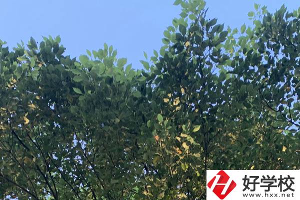 邵陽職業(yè)技術(shù)學(xué)校就業(yè)好不好？值得報考嗎？