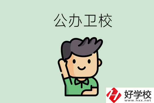 湖南的公辦衛(wèi)校有哪些？這兩所學(xué)校值得推薦！