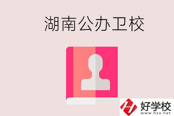 想在湖南上公辦衛(wèi)?？梢赃x擇哪些學校？