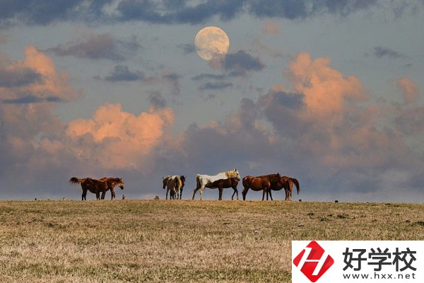邵陽工業(yè)學(xué)校是公辦還是民辦？有什么優(yōu)勢？