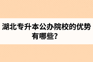 湖北專升本公辦院校的優(yōu)勢有哪些？為什么大家都想報(bào)公辦學(xué)校？