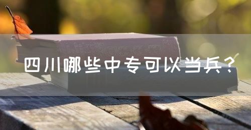 四川哪些中?？梢援?dāng)兵？(圖1)