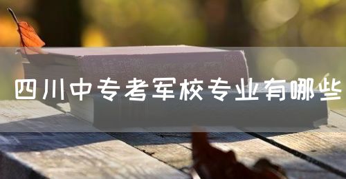 四川中?？架娦I(yè)有哪些？(圖1)