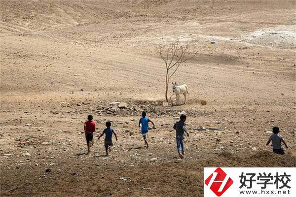 張家界少數(shù)民族加分政策是什么？中專升大專加分嗎？
