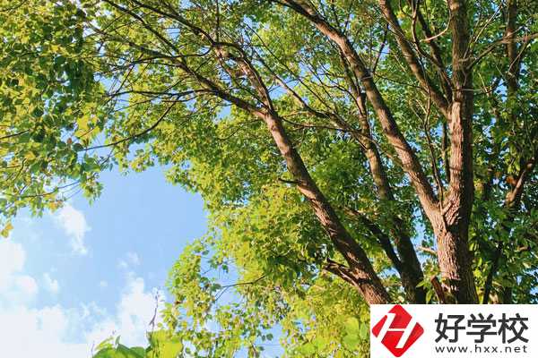 衡陽南華科技學(xué)校教學(xué)質(zhì)量怎么樣？