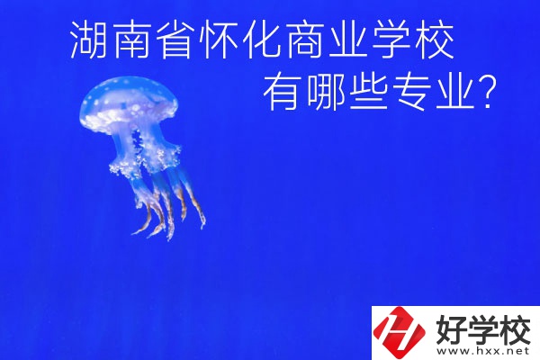 湖南省懷化商業(yè)學(xué)校好不好？有哪些專業(yè)？
