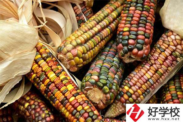 岳陽(yáng)中職學(xué)校哪些專業(yè)好？有什么學(xué)校推薦？
