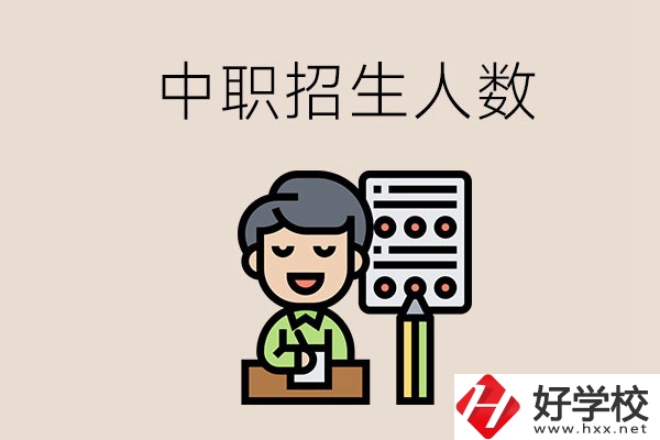 湖南中職學(xué)校每年的招生人數(shù)是多少？