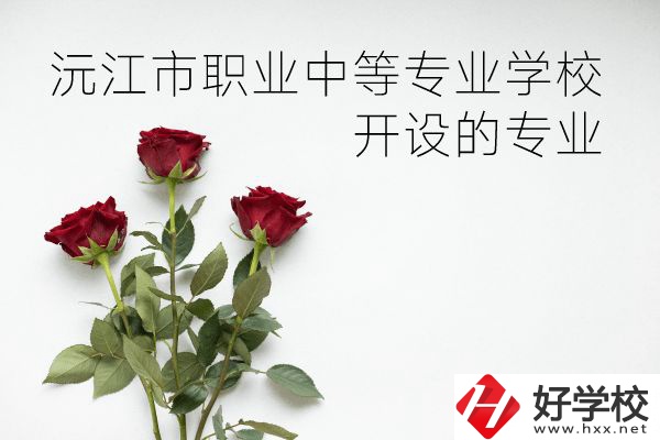 沅江市職業(yè)中等專業(yè)學(xué)校怎么樣？開設(shè)哪些專業(yè)？