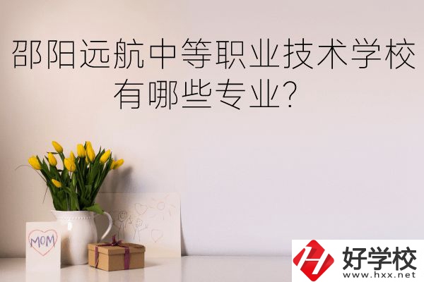 邵陽遠航中等職業(yè)技術(shù)學(xué)校有哪些專業(yè)？