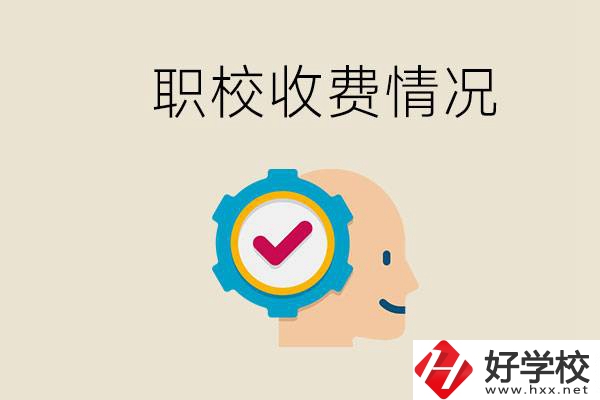 湖南的職校是怎么收費(fèi)的？民辦學(xué)校一年學(xué)費(fèi)要多少？