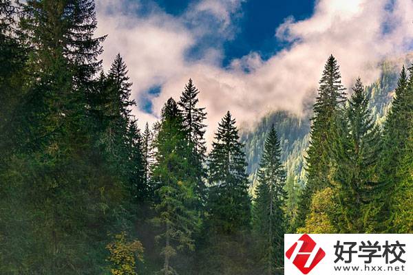 永州東方科技職業(yè)學校有哪些辦學特色？