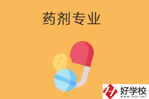 衡陽市有開設(shè)藥劑專業(yè)的中專學(xué)校嗎？招生人數(shù)多嗎？