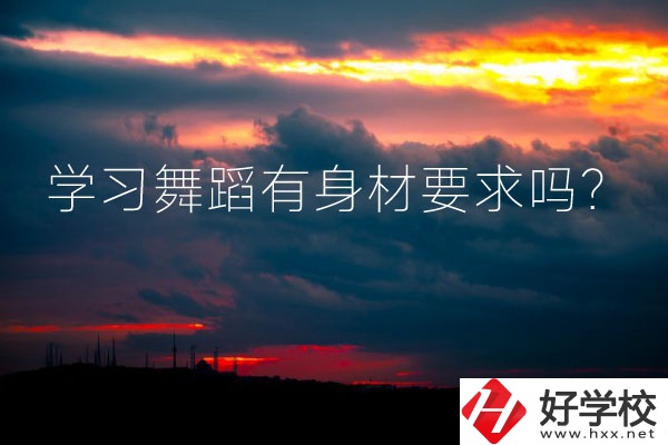懷化有可以學(xué)習(xí)舞蹈的中專學(xué)校嗎？有身材要求嗎？