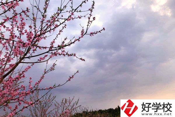 邵陽(yáng)市瀟湘中等職業(yè)技術(shù)學(xué)校怎么樣？收費(fèi)標(biāo)準(zhǔn)如何？