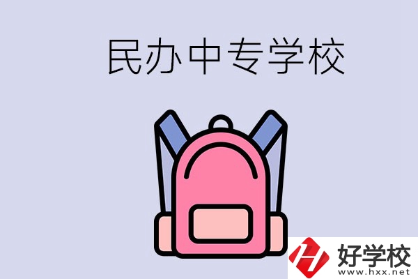 益陽(yáng)的民辦中專(zhuān)學(xué)校有多少所？辦學(xué)怎么樣？
