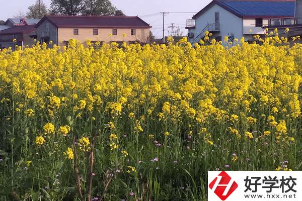 湖南省有哪些比較好的技校？熱門專業(yè)有哪些？