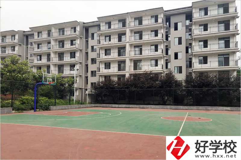 衡陽科技工程學(xué)?；@球場