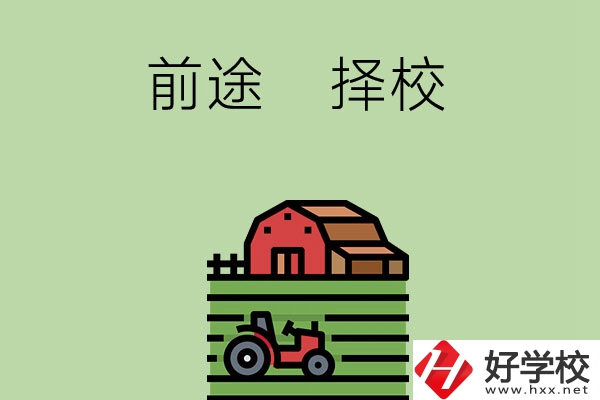 在長沙讀中職學(xué)校有前途嗎，如何擇校？