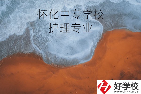 懷化有學(xué)護理專業(yè)的中專學(xué)校嗎？