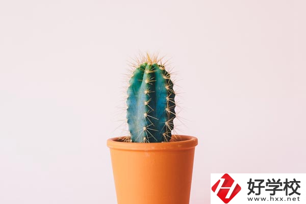 長沙有哪些中職學校可以學習幼師專業(yè)？