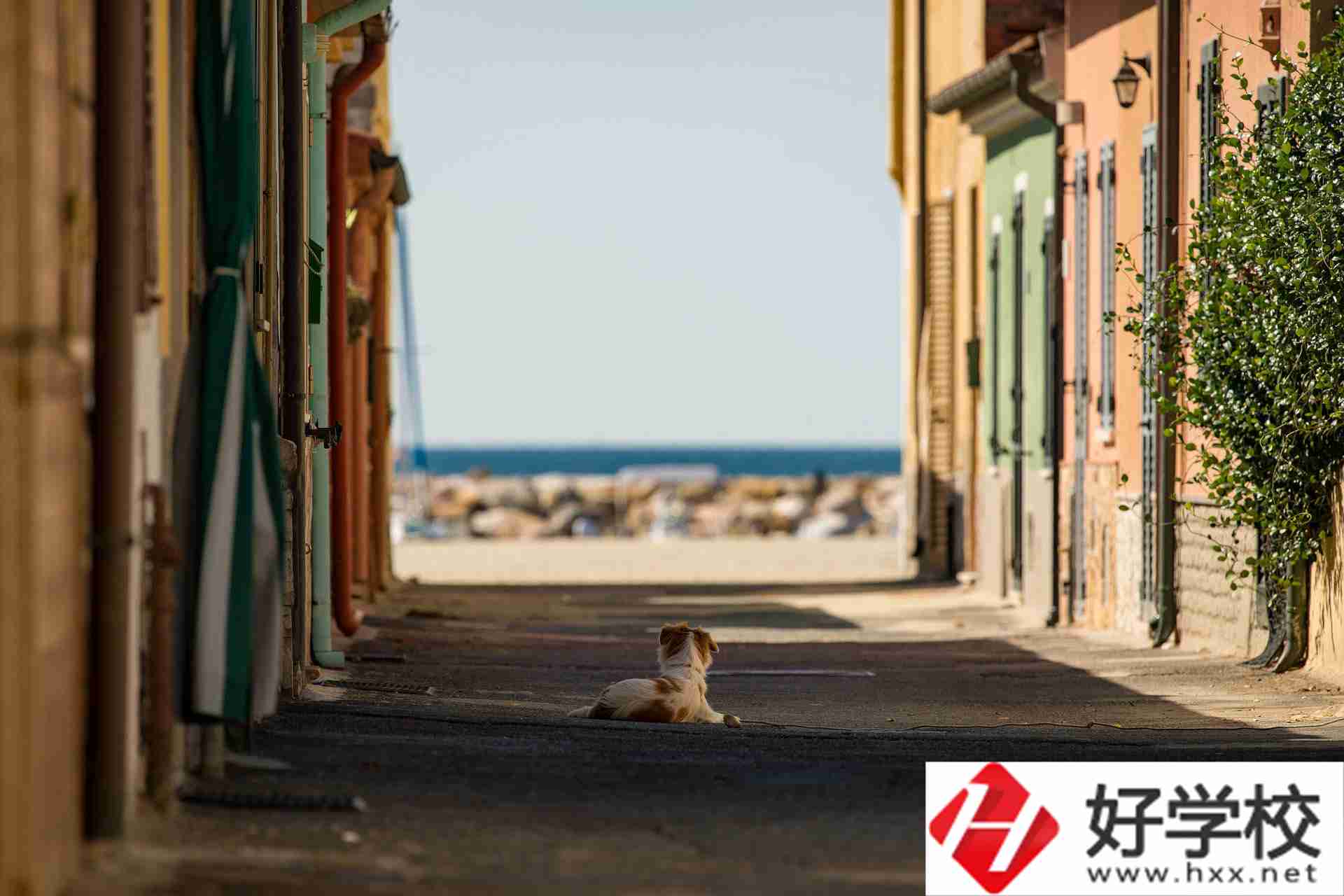 益陽市四通電腦中等專業(yè)學校什么專業(yè)強？