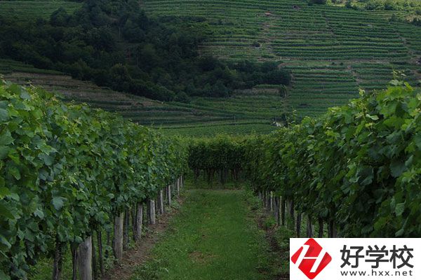 中鋼集團(tuán)衡陽(yáng)重機(jī)技工學(xué)校好不好？值得讀嗎？