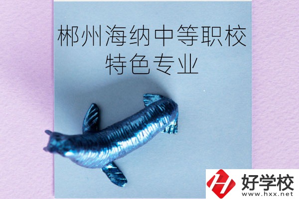 郴州海納中等職業(yè)技術(shù)學校有些什么特色專業(yè)？