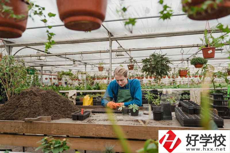 湖南省湘潭縣職校有什么專業(yè)可以選擇？