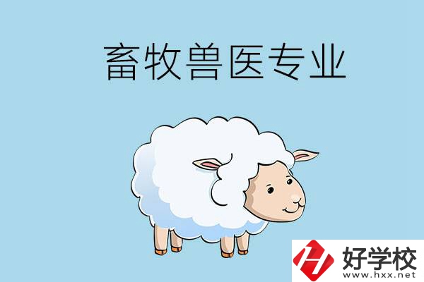 畜牧獸醫(yī)專業(yè)好就業(yè)嗎？湖南哪些技校開設了該專業(yè)？