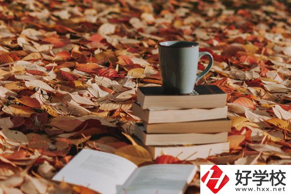 中方縣職業(yè)中等專業(yè)學(xué)校有什么專業(yè)？好不好？