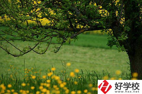 在邵陽讀中職有前途嗎？如何選擇學(xué)校呢？