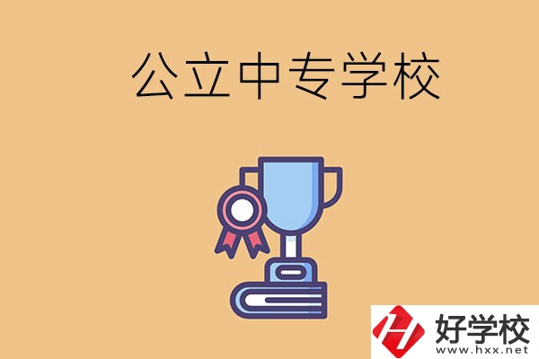 常德的公立中專學校有哪些？有什么特色？