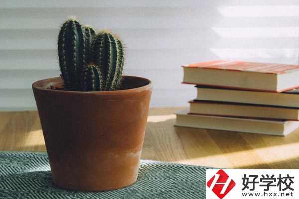 桃江縣職業(yè)中專學校辦學條件怎么樣？有哪些特色？