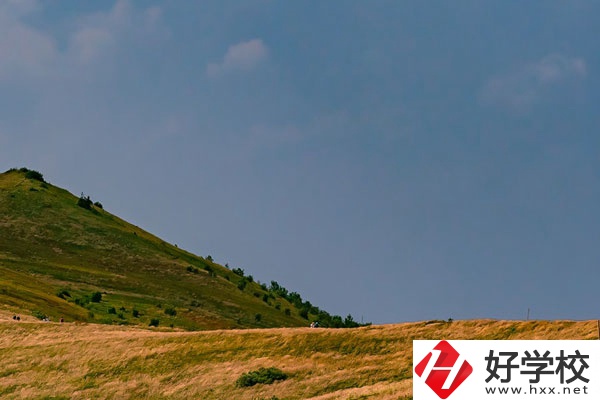 想在常德學動漫設計專業(yè)，有合適的學校嗎？