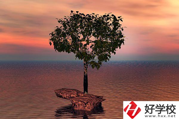 湖南省中南藝術(shù)學(xué)校收費(fèi)標(biāo)準(zhǔn)怎么樣？