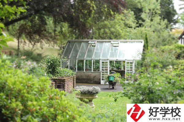 湖南省商業(yè)技師學(xué)院開設(shè)哪些專業(yè)？就業(yè)情況如何？