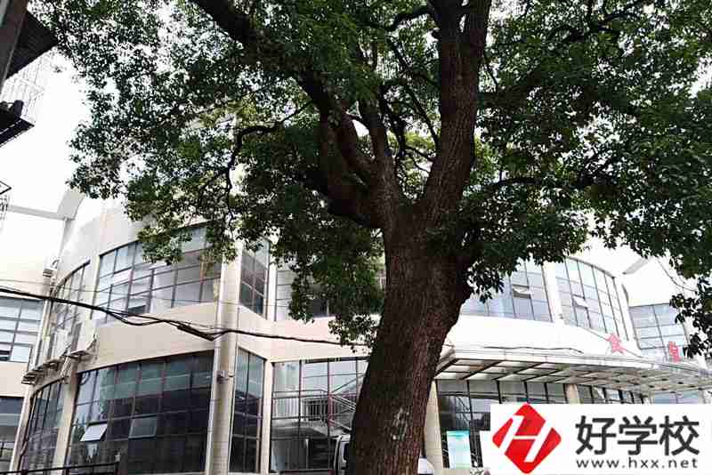衡陽排名前三的職業(yè)學(xué)校你知道有哪幾所？