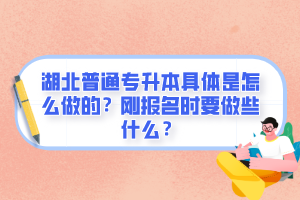 湖北普通專升本具體是怎么做的？剛報名時要做些什么？
