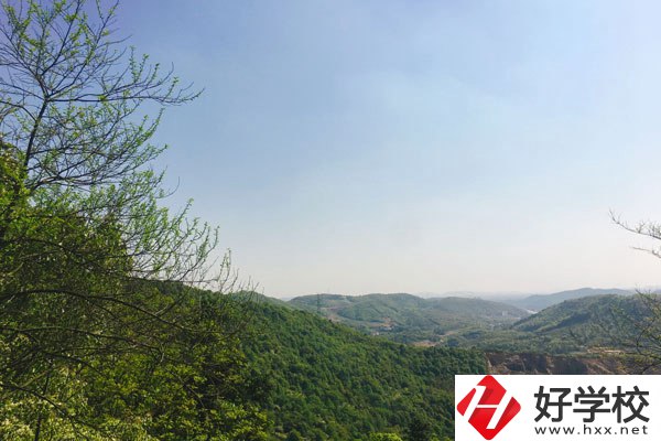 株洲人工智能職業(yè)技術(shù)學(xué)校哪個專業(yè)更好？