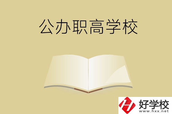 懷化公辦的職高學校有哪些？