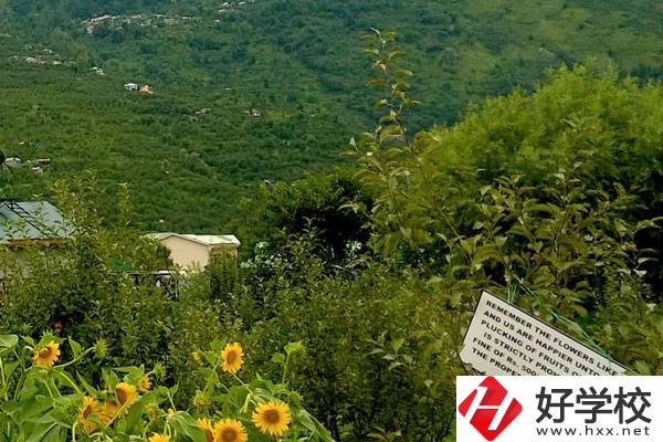 長(zhǎng)沙公辦中職學(xué)校好不好？都有哪些學(xué)校？