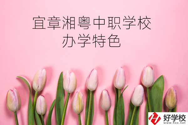 宜章湘粵中職學(xué)校在哪？有什么辦學(xué)特色？