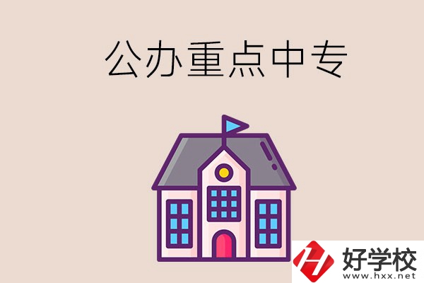 湖南重點中專學(xué)校里哪些是公辦的？