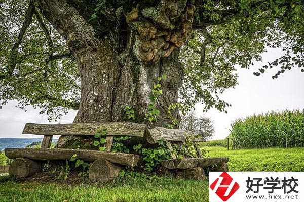 湖南特教中等專業(yè)學(xué)校有哪些特色專業(yè)？有資助政策嗎？