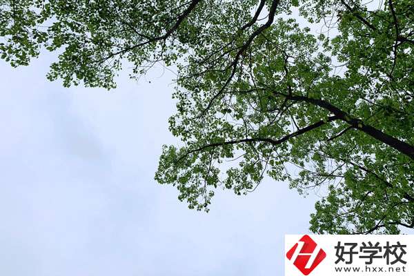 衡南縣職業(yè)中專學(xué)校的宿舍和食堂環(huán)境怎么樣？